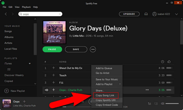Can Download Music From Spotify